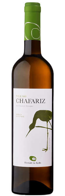 Vale do Chafariz Branco 2018
