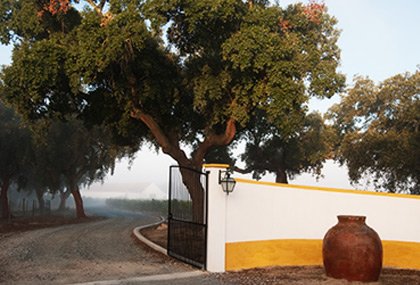 A Herdade e o Projeto