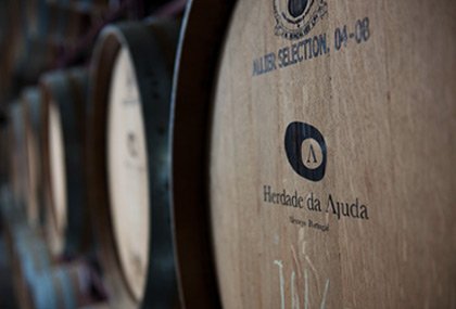 A Herdade e o Projeto