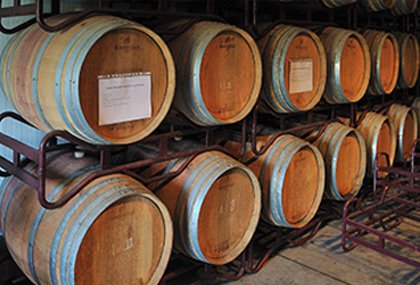 A Herdade e o Projeto